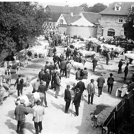 Ox Hotel Heitersheim Extérieur photo