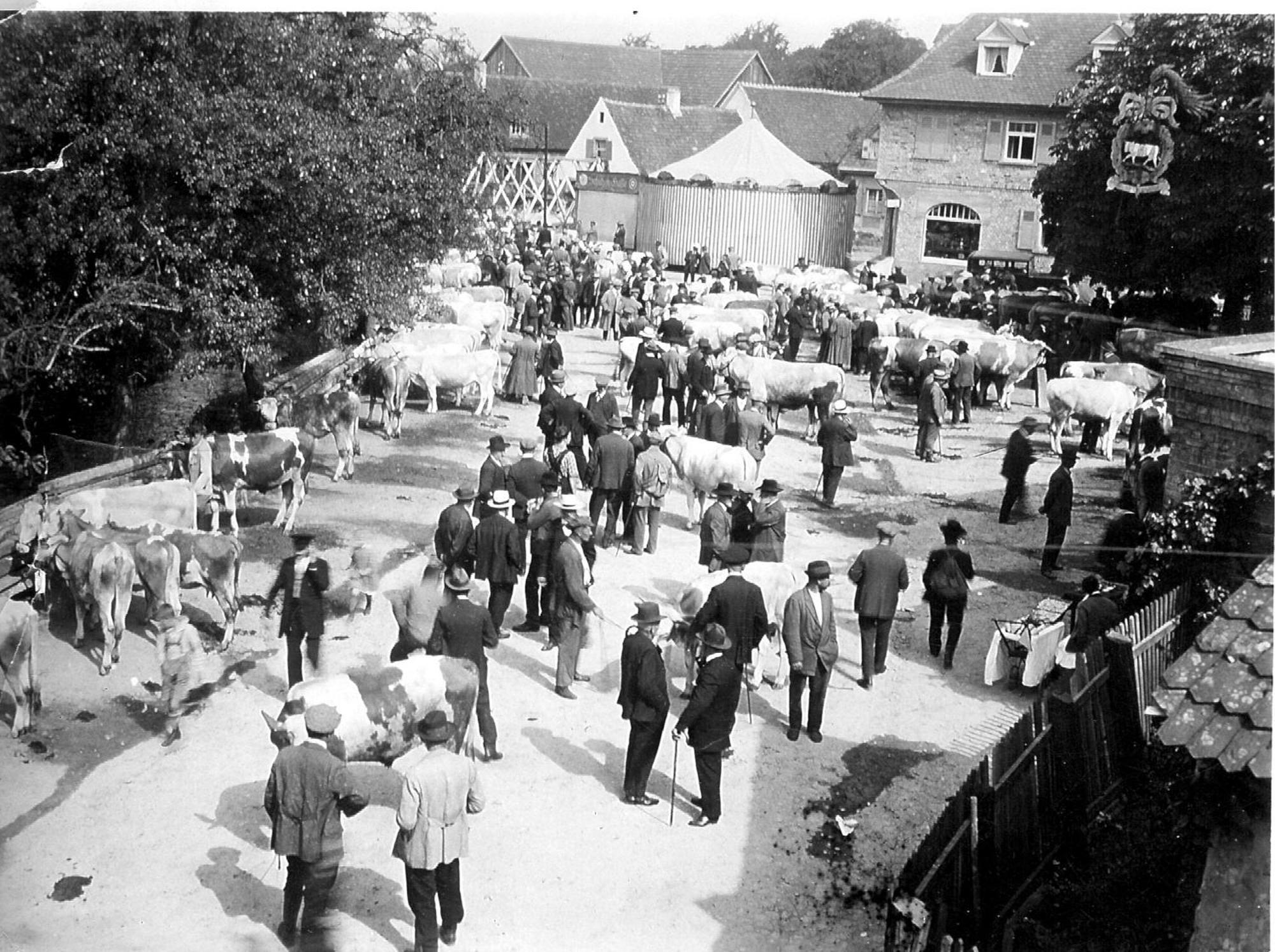 Ox Hotel Heitersheim Extérieur photo